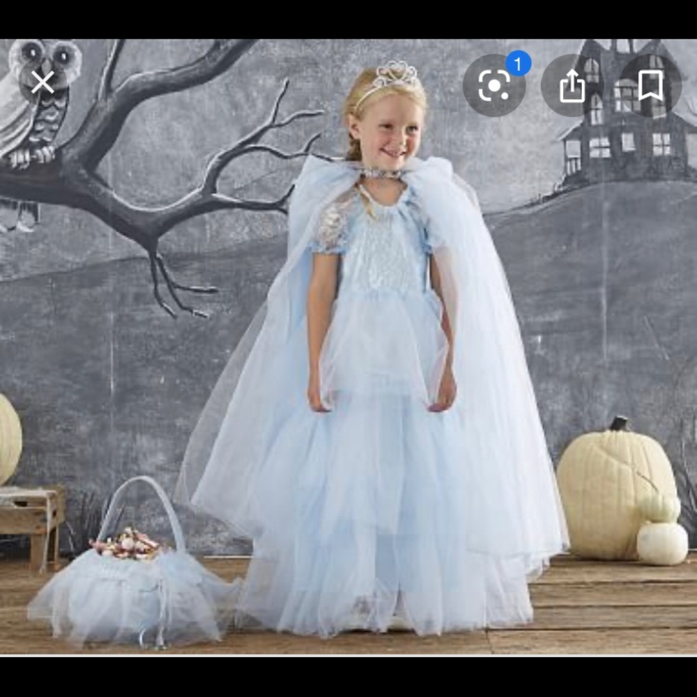 Blue Princess Dress with Blue Cape